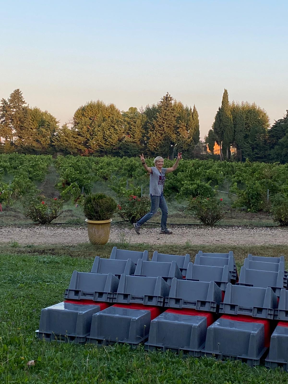 Le Vin de Blaise｜ ヌーヴェル・セレクション Nouvelles Selections